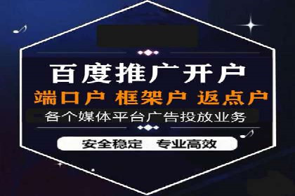 顶级SEM服务公司案例解析